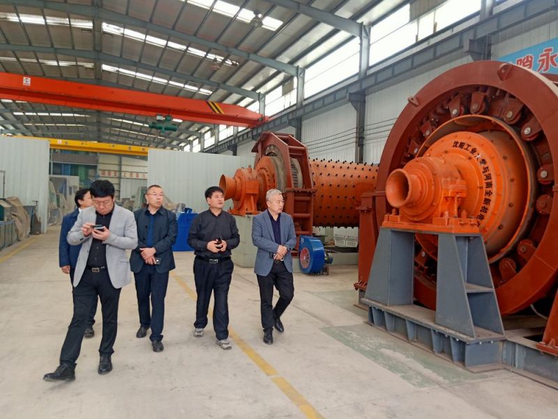 市向导来公司考察崎岖压电机和永磁直驱球磨机